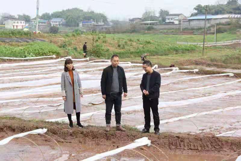 燈飾燈具 第135頁(yè)