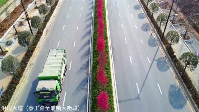 關(guān)花大道最新進(jìn)展，矚目盛景呈現！