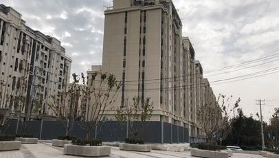 趙村最新動(dòng)態(tài)，鄉村振興新篇章開(kāi)啟