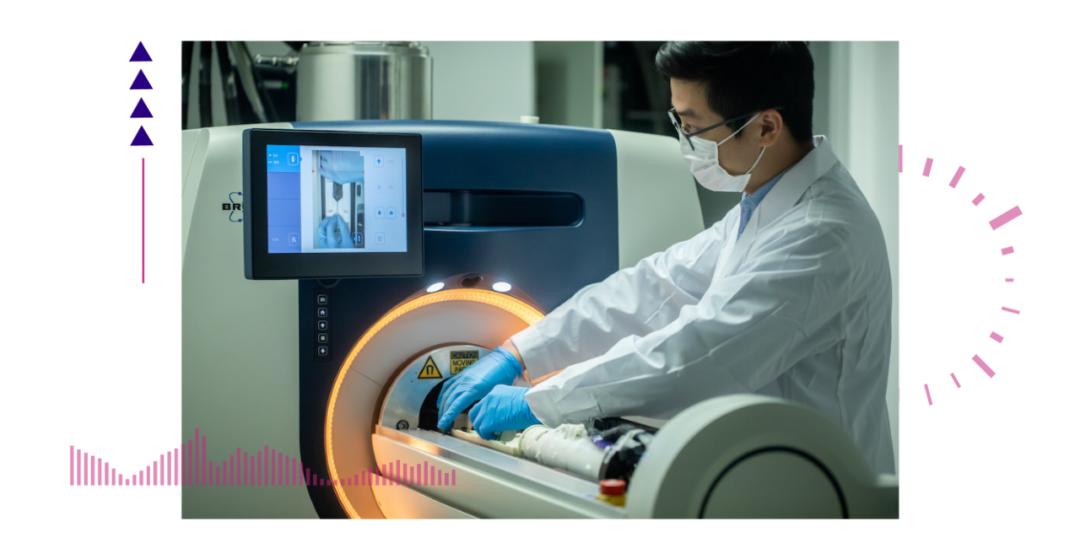 香港脊髓研究取得新進(jìn)展，探索自然美景的心靈之旅新篇章