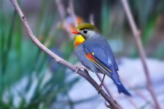 工程廠(chǎng)房燈具 第159頁(yè)