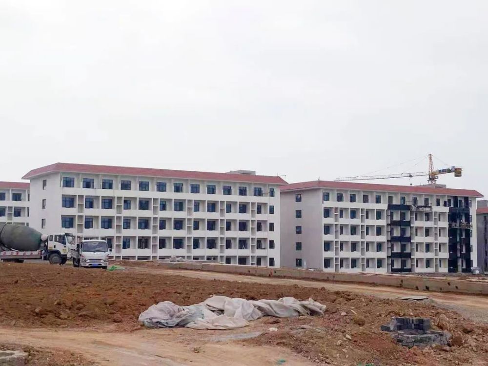 甘谷新聞，大石車(chē)禍最新進(jìn)展及觀(guān)點(diǎn)論述深度解析