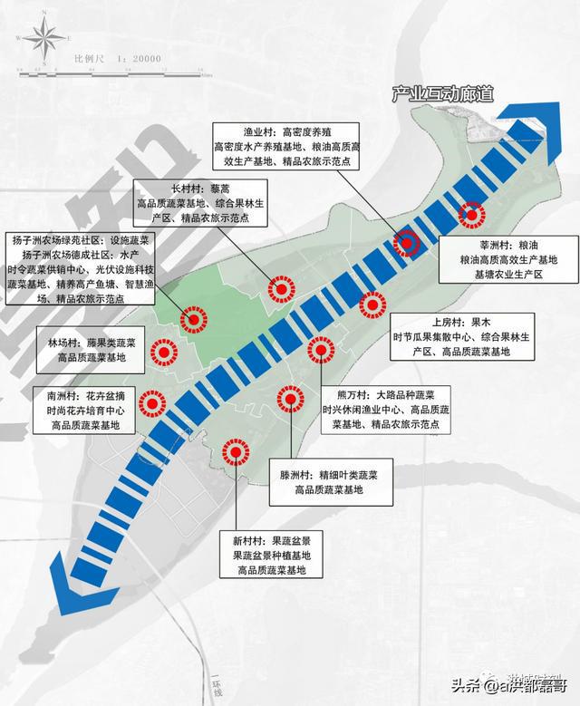 南昌揚子洲未來(lái)藍圖揭曉，最新規劃描繪未來(lái)發(fā)展路徑