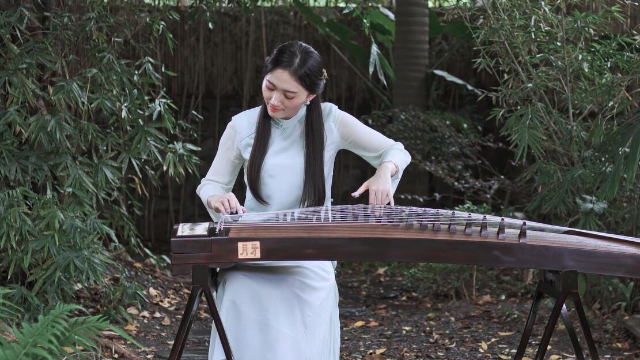 抖音最新琵琶演奏，古典與現代的完美融合之美