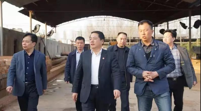 商丘王仲田最新動(dòng)態(tài)，探索自然美景的旅行，尋求內心平和之旅