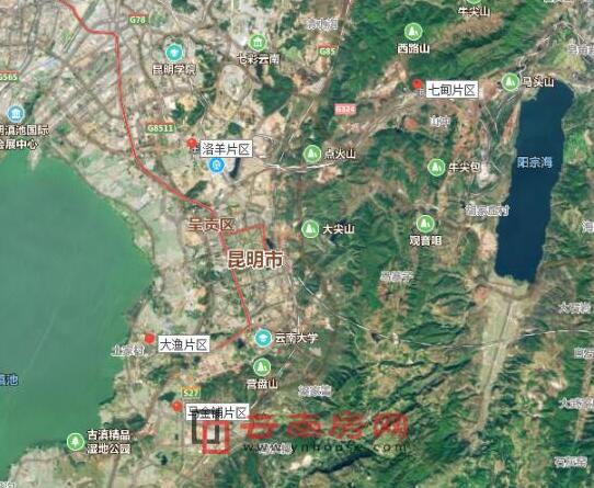 呈貢區發(fā)展動(dòng)態(tài)，巷弄深處的驚喜探索特色小店發(fā)展消息