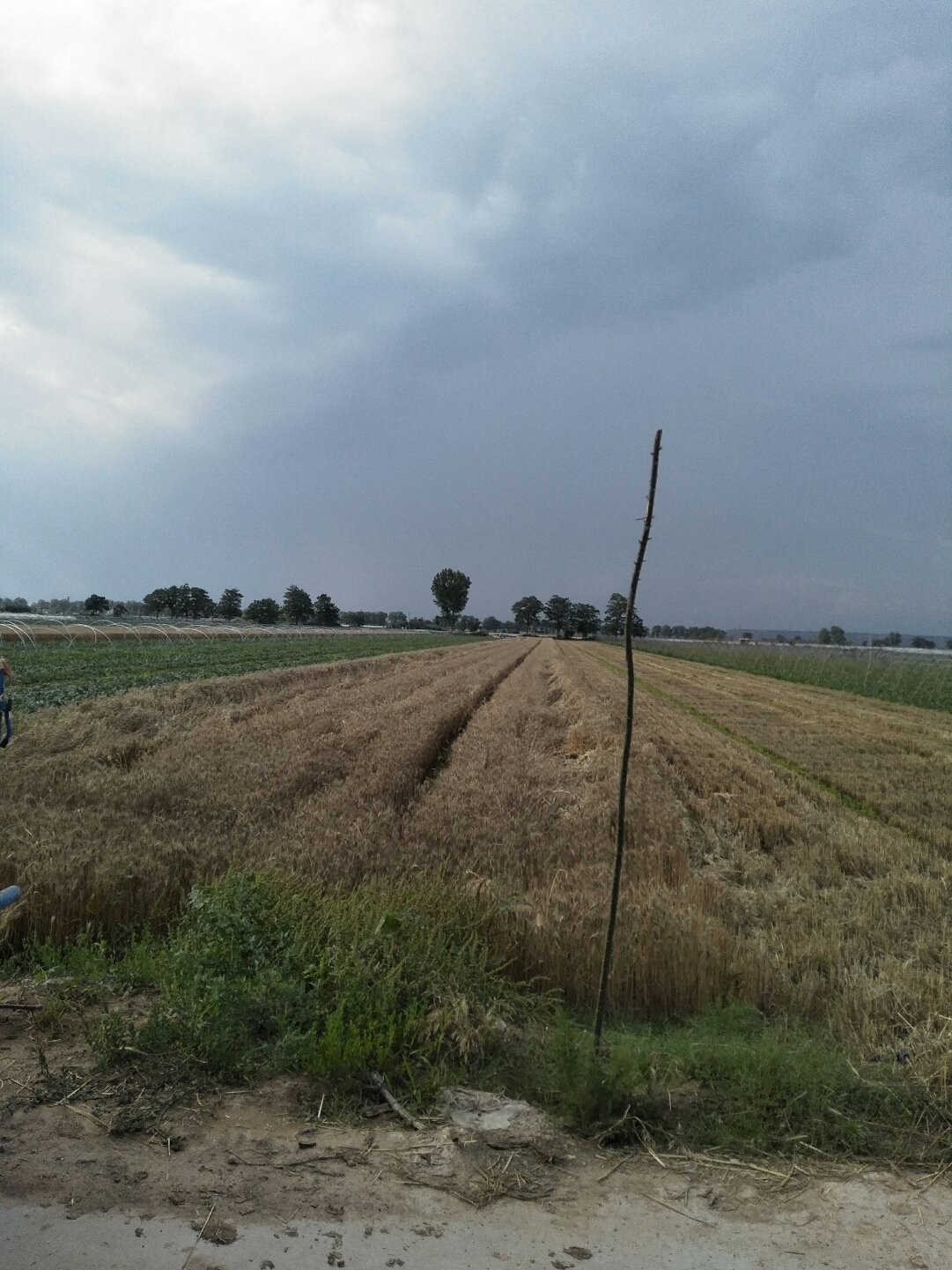 蒲城天氣預報，暖陽(yáng)下的友情時(shí)光