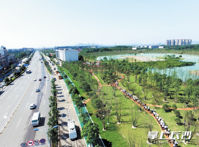 長(cháng)沙黃橋大道崛起，夢(mèng)想啟航之路最新動(dòng)態(tài)