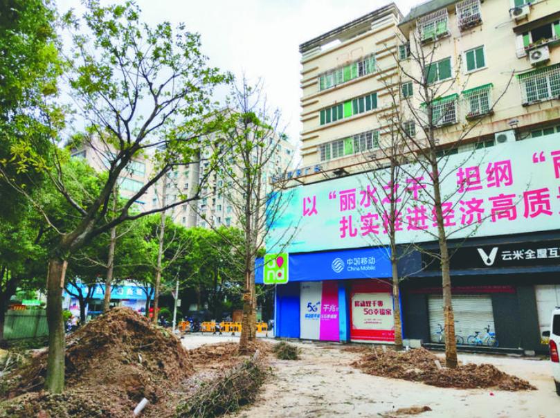 最新吊車(chē)網(wǎng)，自然美景之旅與內心平靜的探尋