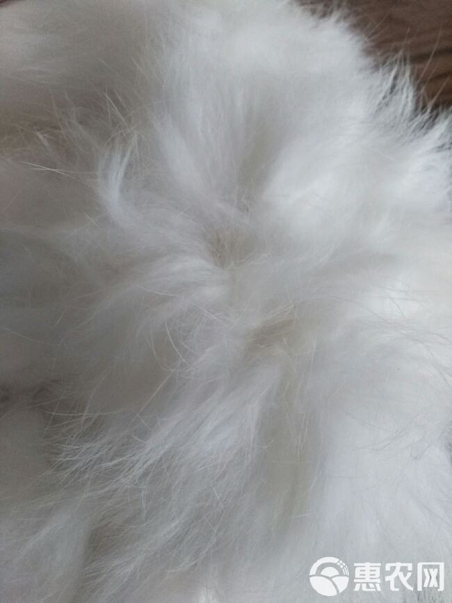 工程廠(chǎng)房燈具 第145頁(yè)