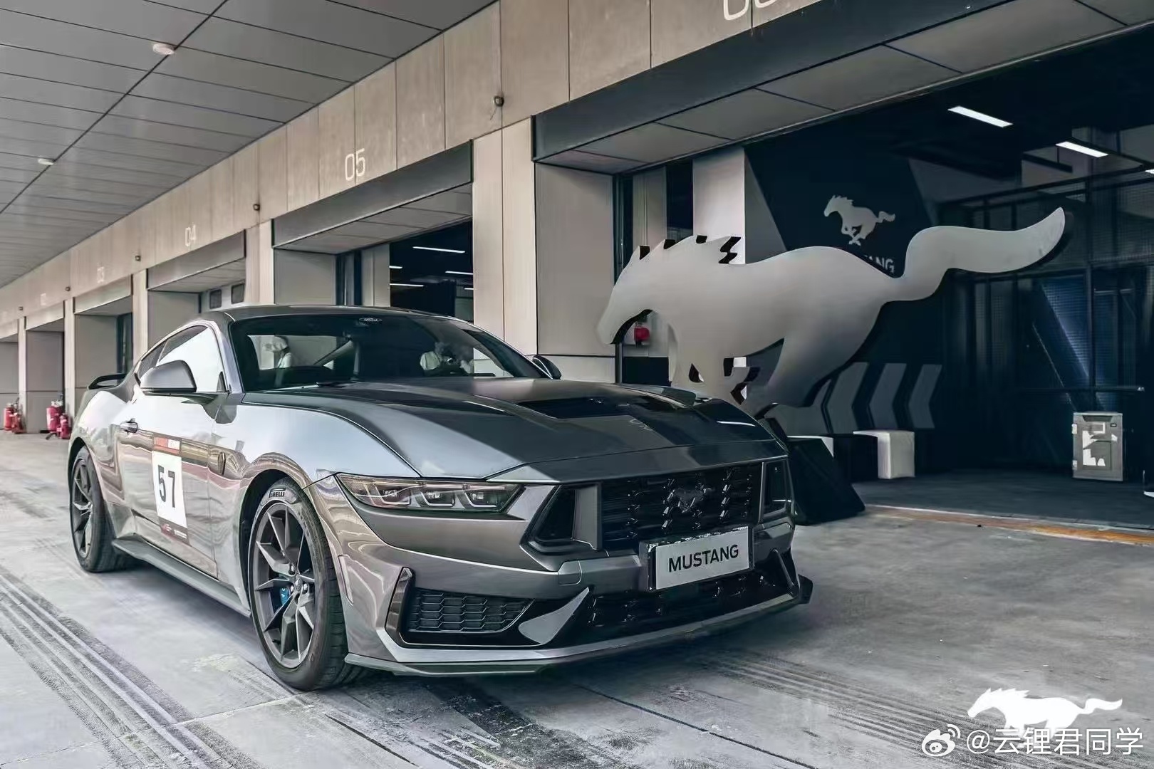 野馬擼最新動(dòng)態(tài)，駕馭變化，自信成就夢(mèng)想之旅