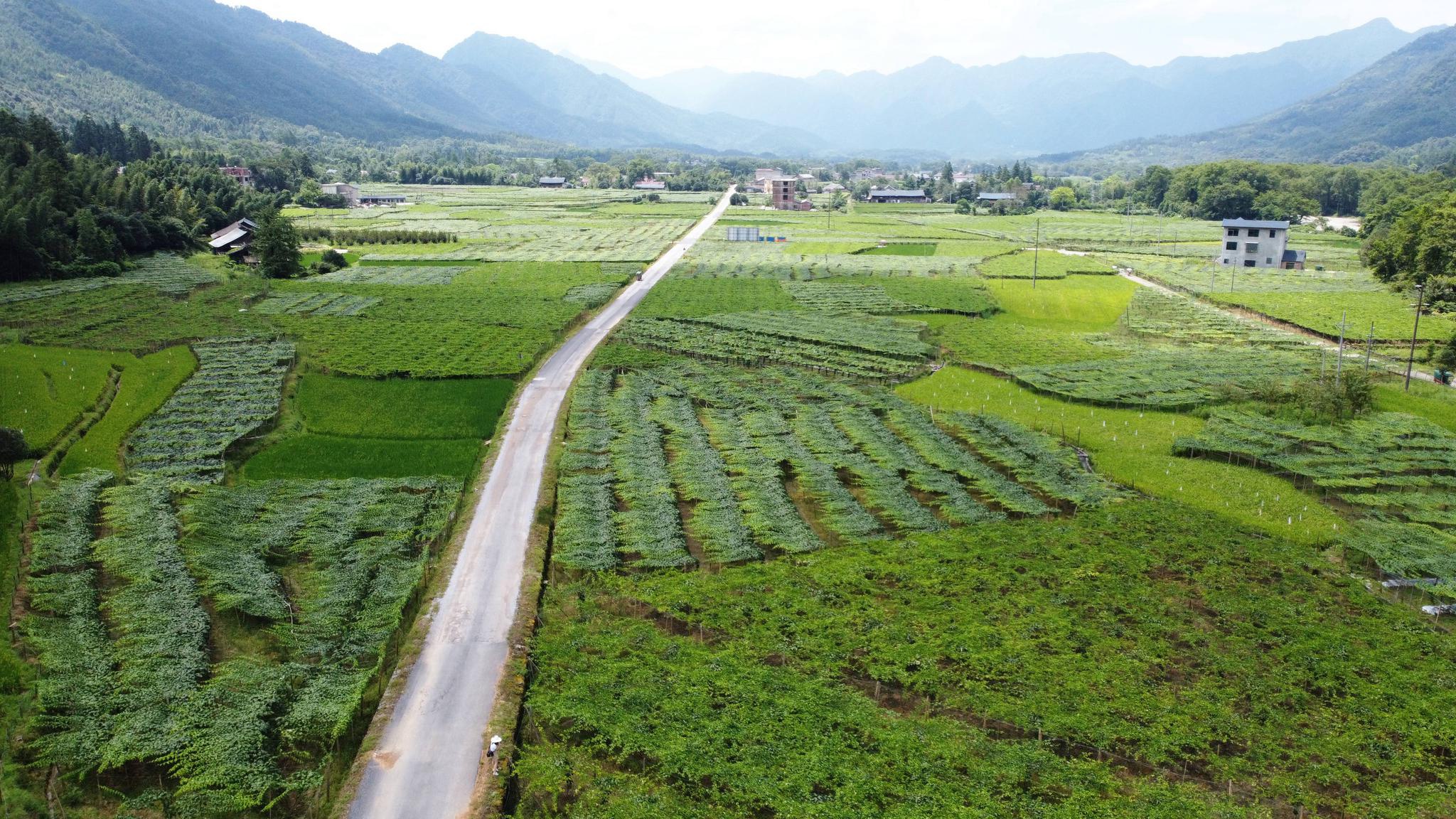 新文村，時(shí)代變遷下的文化繁榮與發(fā)展新篇章