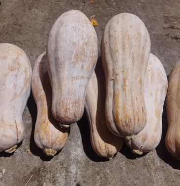 工程廠(chǎng)房燈具 第142頁(yè)