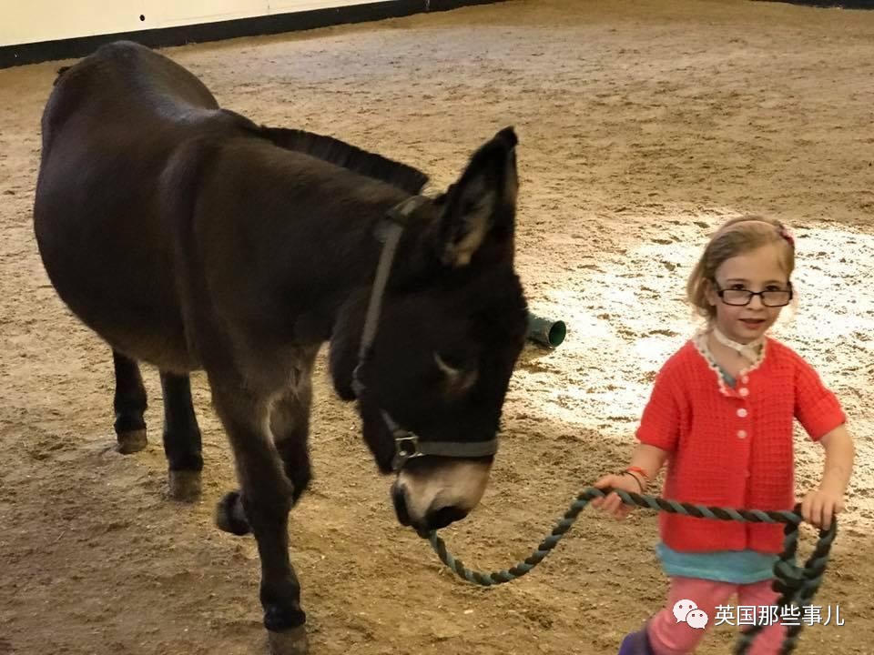 二驢子最新事件揭秘，事件全貌大揭秘！