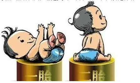 最新雙胞胎補助政策，攜手同行，助力孕育夢(mèng)想之路