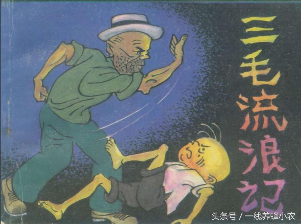 上海三毛最新動(dòng)態(tài)，自然美景探索之旅啟幕