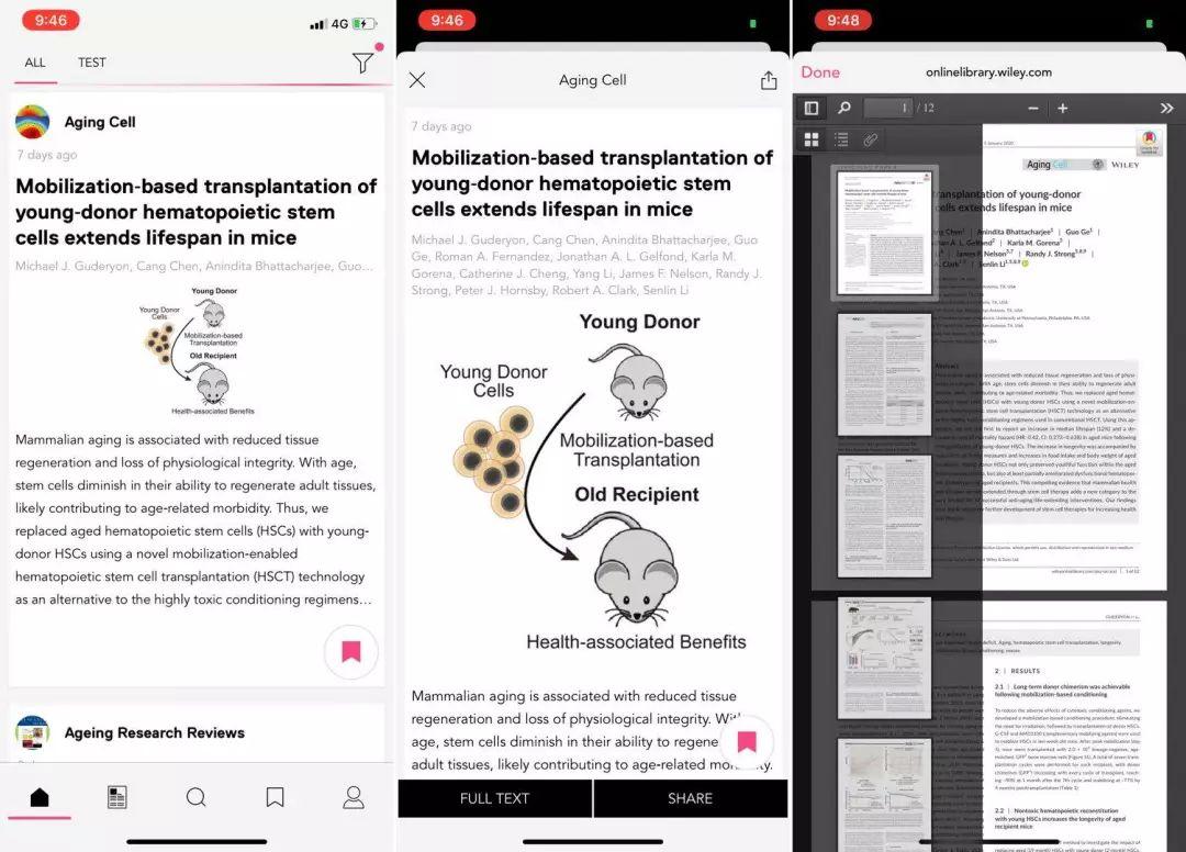 揭秘最新RSS資訊，解鎖信息世界的門(mén)戶(hù)之門(mén)