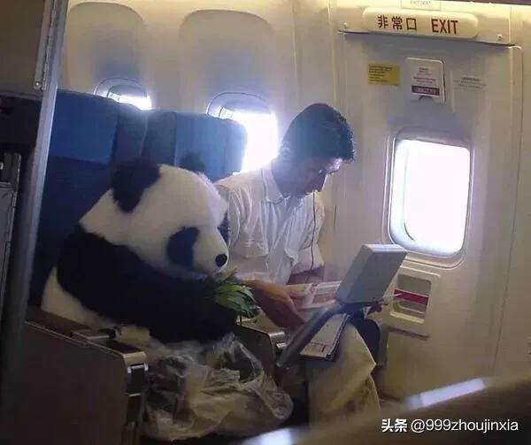 追逐變化之翼，學(xué)習鑄就自信與成就——虛幻最新探討