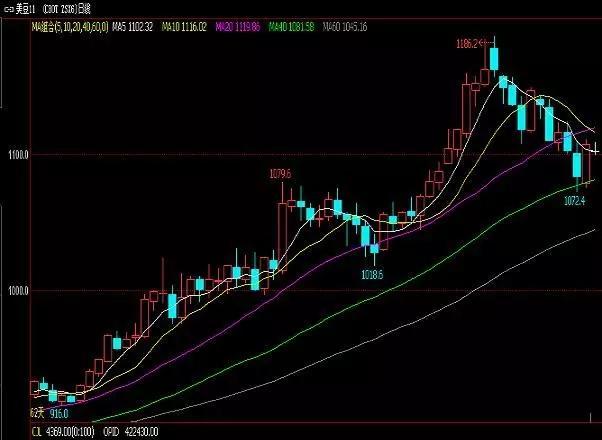 豆油最新行情概覽，市場(chǎng)走勢分析與未來(lái)展望