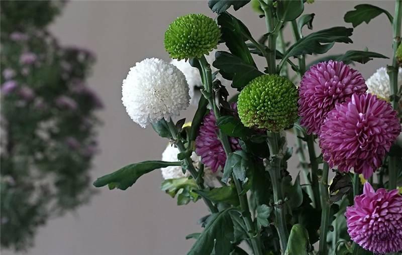 最新娛樂(lè )頭條，躍上成功舞臺的魔力之旅，自信與成就感的碰撞