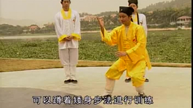 太極最新音樂(lè )，傳統與現代的完美融合藝術(shù)展現
