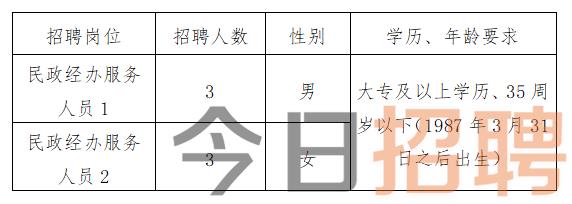 慶陽(yáng)最新招聘揭秘，小巷中的特色小店，探索未知寶藏的職場(chǎng)之旅