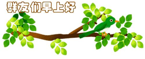 最新清晨祝福短信，晨曦中的溫暖問(wèn)候，傳遞美好祝愿與關(guān)懷