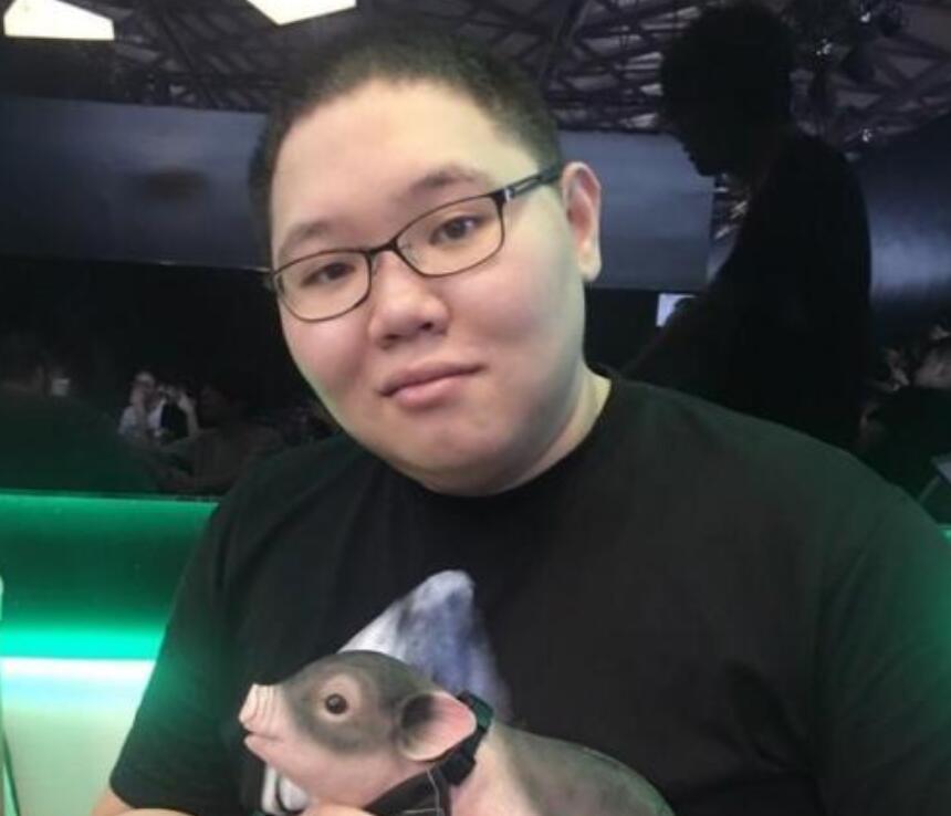 PDD最新直播視頻，直播界的璀璨明星閃耀時(shí)刻