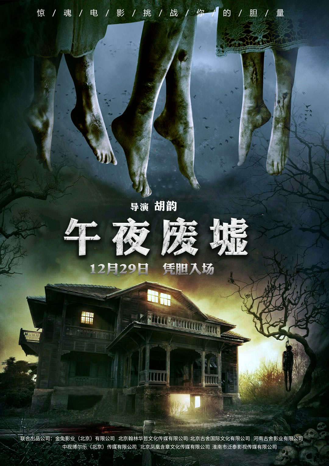 午夜熱門(mén)電影探索，魅力時(shí)刻的探險之旅