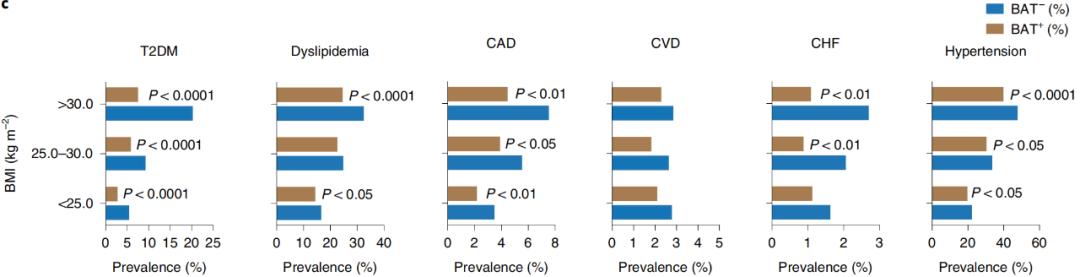 腦疾病最新研究，重塑大腦信心與成就感之路