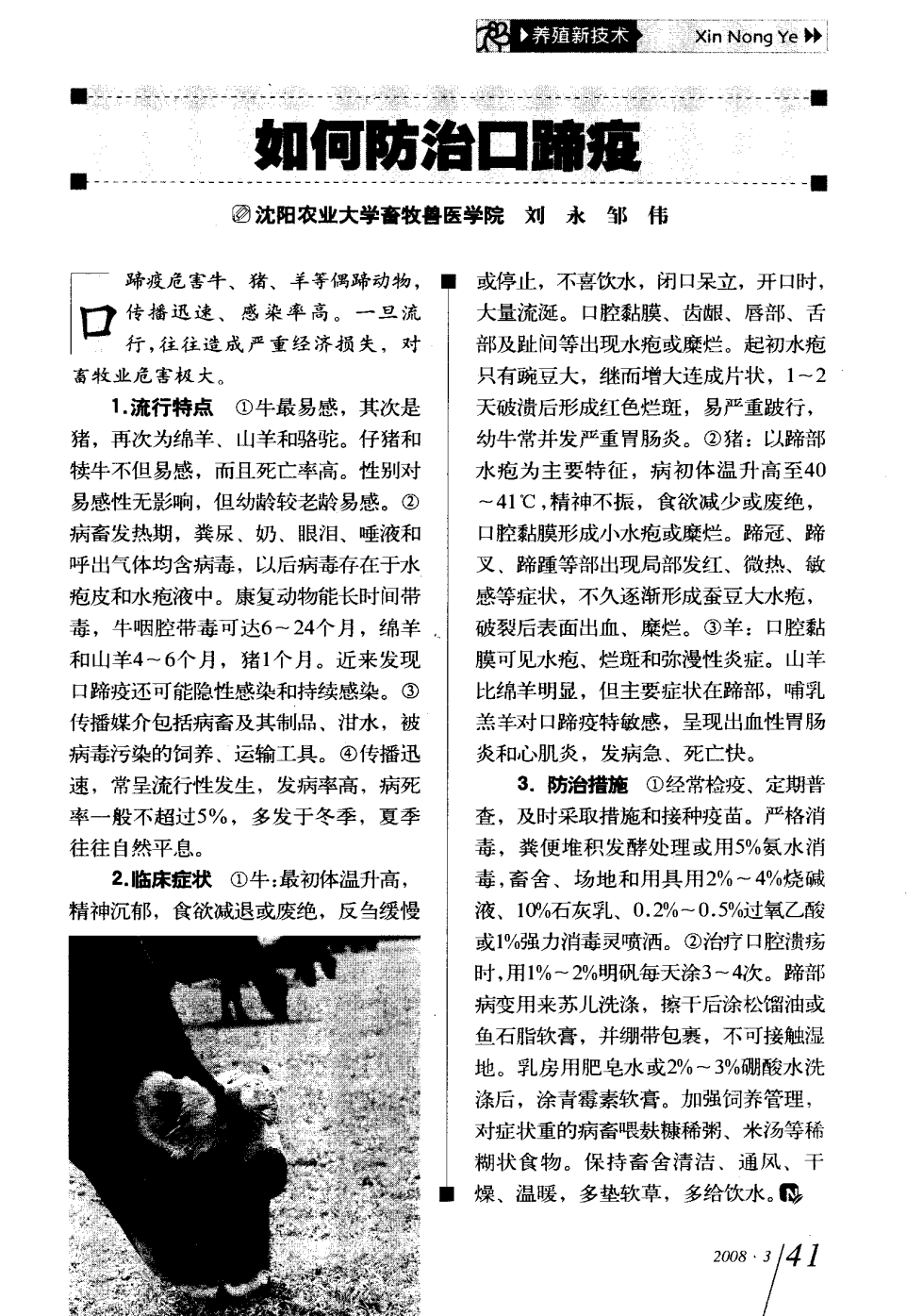 口蹄疫最新科研，自然探險與內心平和的追尋之旅