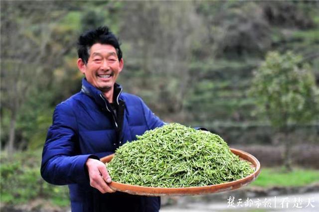 最新夷陵新聞，探索自然美景的旅程，尋覓內心平和之地