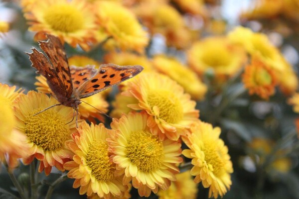 番茄最新作品，用學(xué)習之鑰，開(kāi)啟自信與成就的大門(mén)