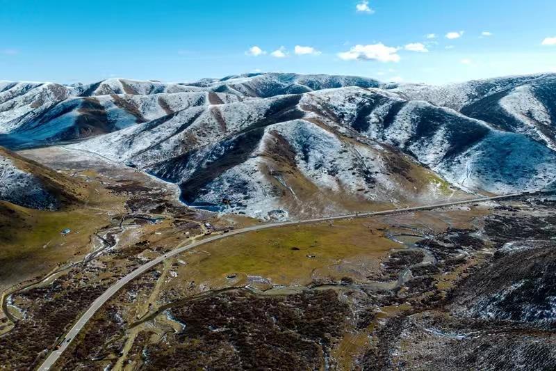 蘭西最新新聞，學(xué)習之光，自信與成就感的源泉