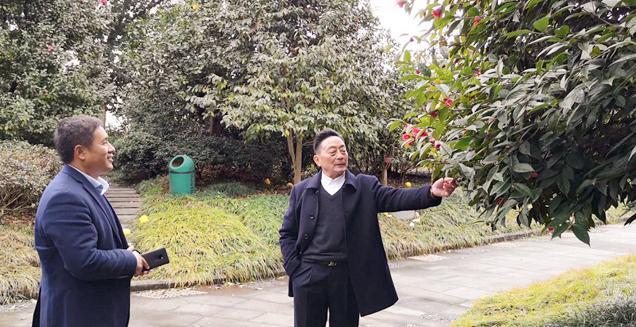 最新花木求購，開(kāi)啟一場(chǎng)尋綠之旅的溫馨旅程