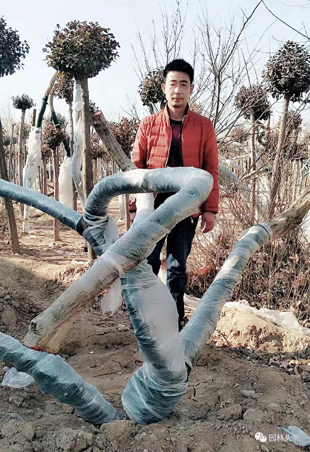 定州最新急招工，時(shí)代的呼喚與行業(yè)重塑的挑戰