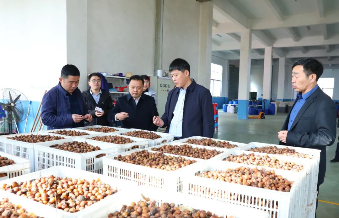 建寧最新新聞，城市溫馨日常與友情力量的展現