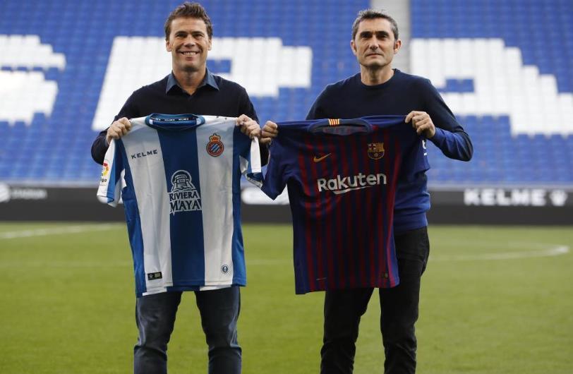 最新體育直播，與大自然共舞，探索寧靜的內心之旅