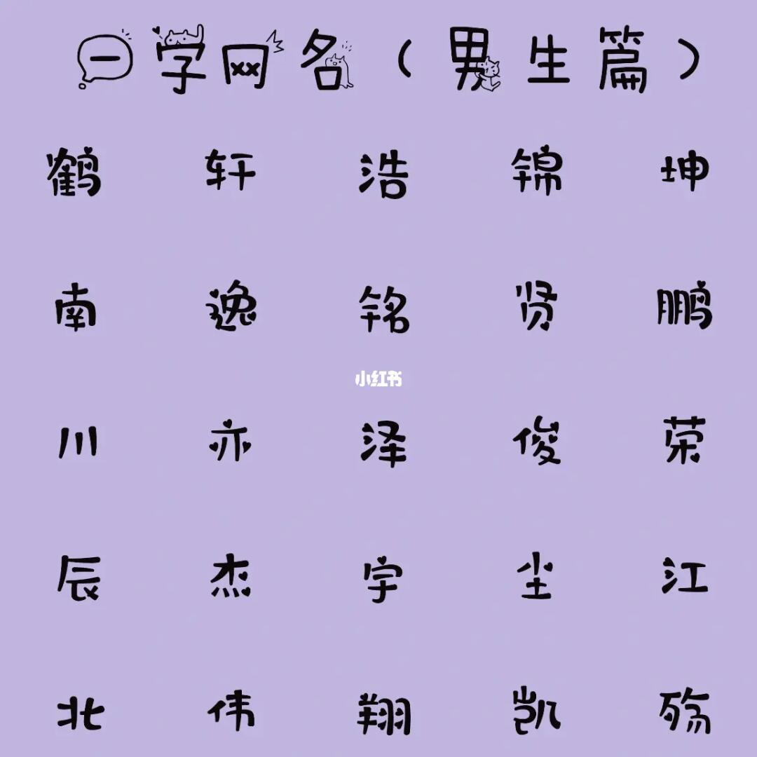 最新男生網(wǎng)名，時(shí)代潮流與虛擬身份的完美融合塑造