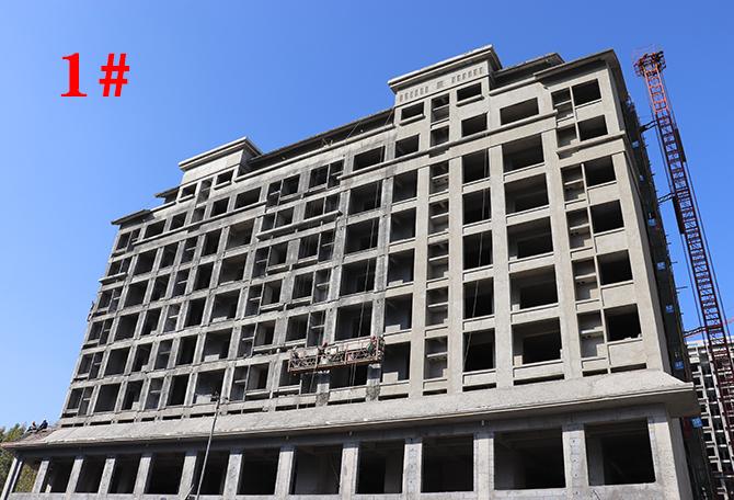 平輿最新樓盤(pán)市場(chǎng)現狀與前景展望，深度解析市場(chǎng)趨勢與發(fā)展前景展望