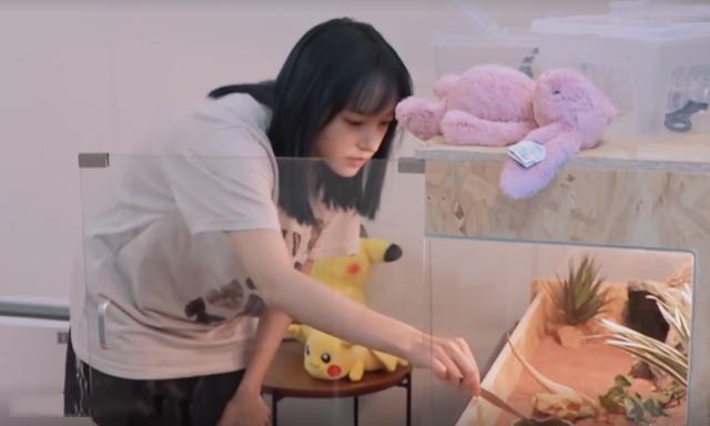 程瀟最新綜藝節目，心動(dòng)瞬間，不容錯過(guò)！?