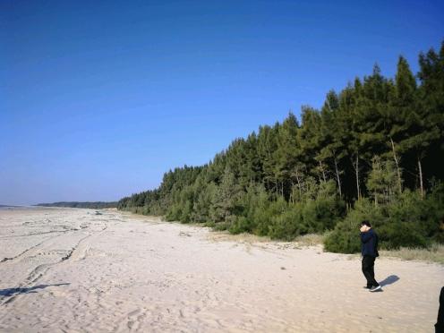 揭秘2025最新臺風(fēng)路線(xiàn)，提前預警，保障安全無(wú)憂(yōu)