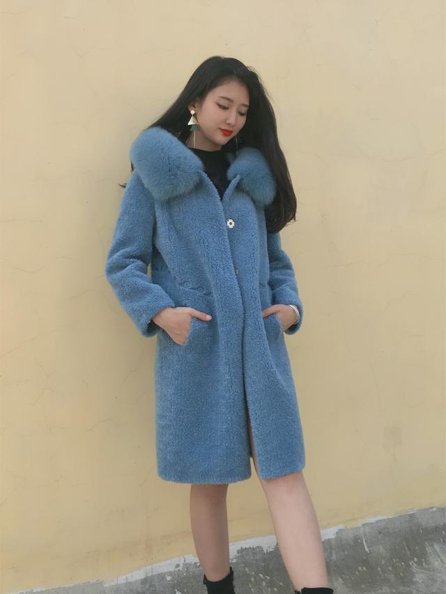 三七花最新價(jià)格揭秘，溫馨小故事中的尋找之旅