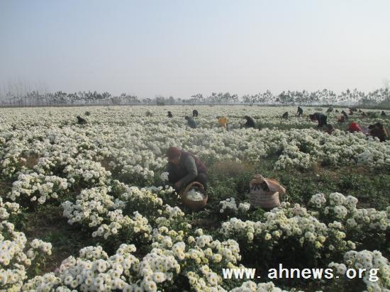 界首最新新聞，學(xué)習變革的力量，自信與成就感的融合之路