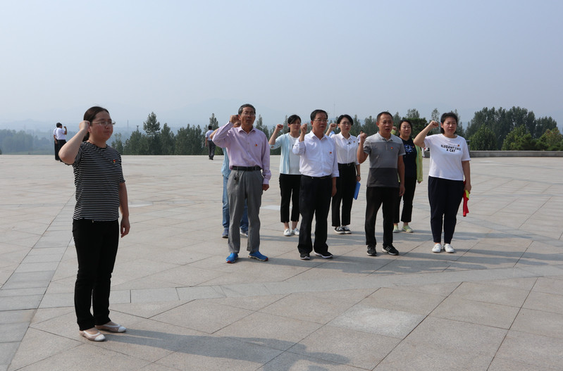 肥城房產(chǎn)最新動(dòng)態(tài)，市場(chǎng)走勢、熱門(mén)區域與案例分析