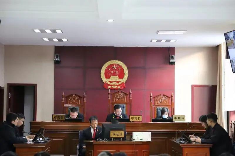 偏關(guān)最新案件深度解析，揭示真相，關(guān)注社會(huì )公正與公平