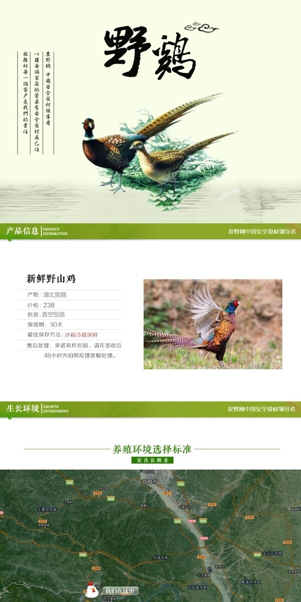 深度剖析，最新山雞的背景、事件與地位概述