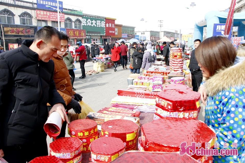 淘元素最新，淘淘的奇妙冒險之旅與友情的溫暖體驗