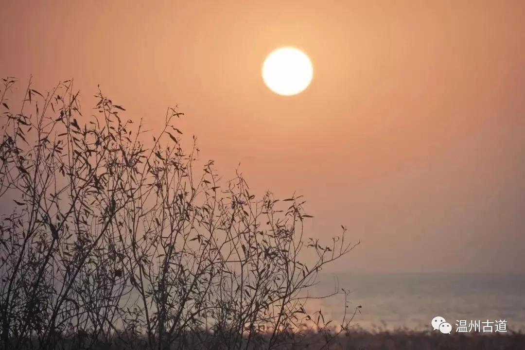 最新瘟疫詩(shī)詞，時(shí)代之聲與人文關(guān)懷的交融展現