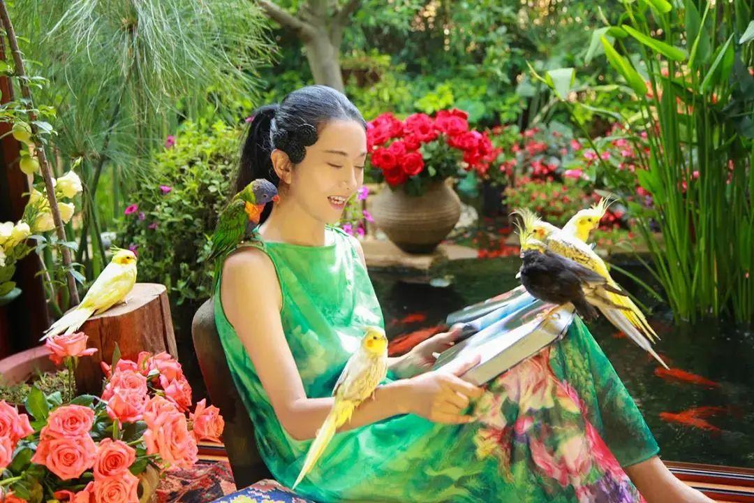 昆明最新舞蹈，文化現象的深度探討